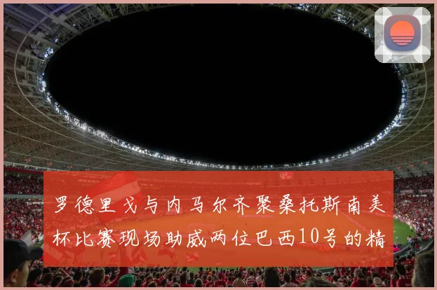 罗德里戈与内马尔齐聚桑托斯南美杯比赛现场助威两位巴西10号的精彩时刻