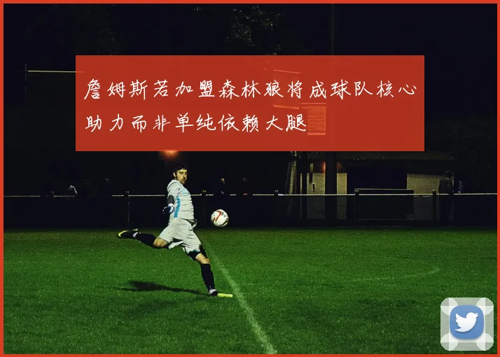 詹姆斯若加盟森林狼将成球队核心助力而非单纯依赖大腿